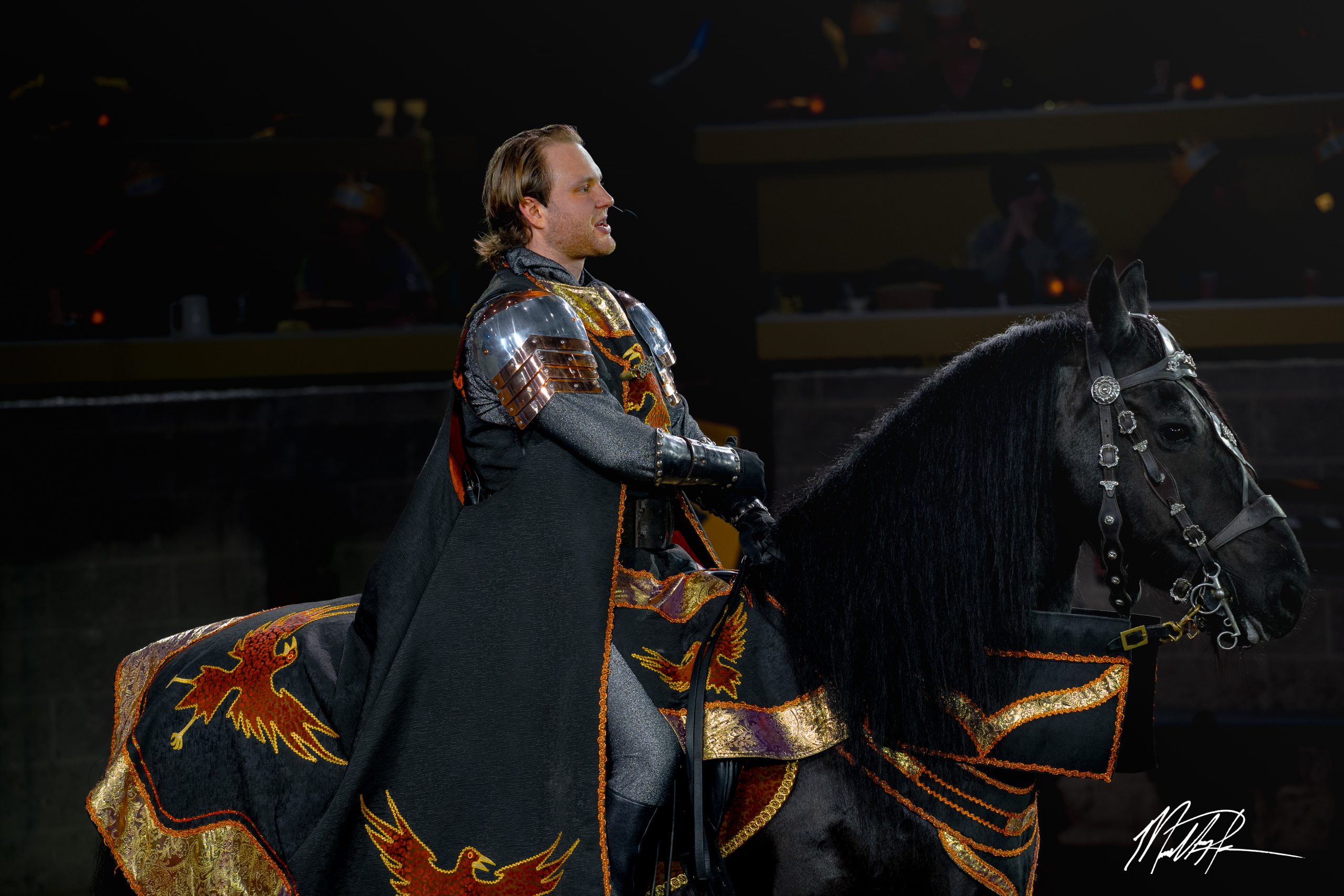 A Night of Knightly Revelry in Toronto